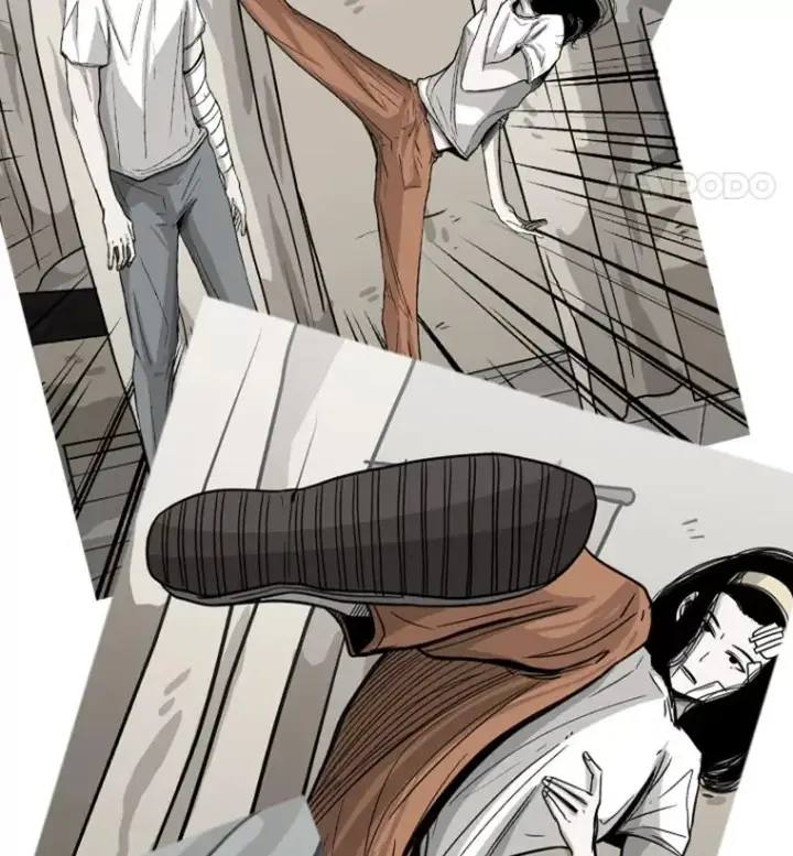 《鲨鱼》51.不死鸟图120