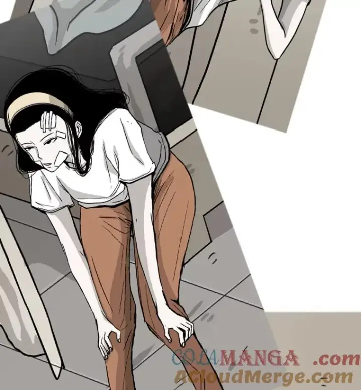 《鲨鱼》51.不死鸟图121