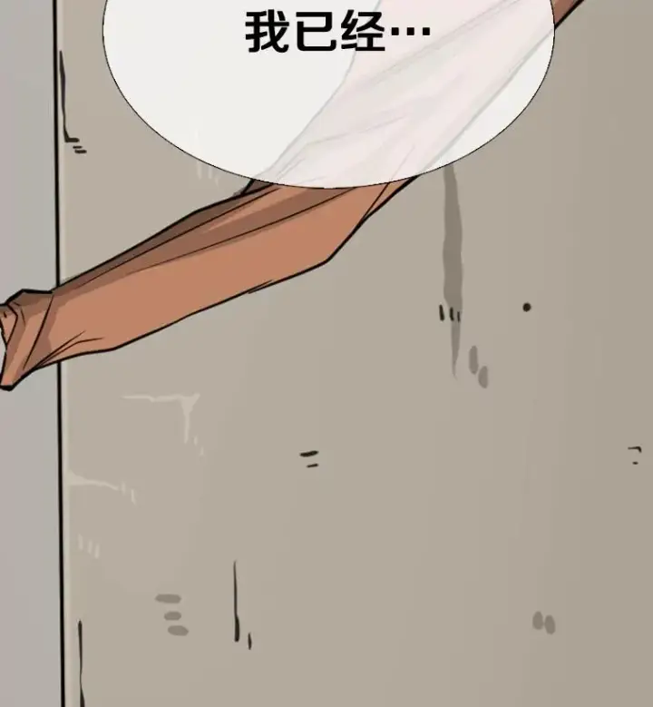 《鲨鱼》51.不死鸟图123