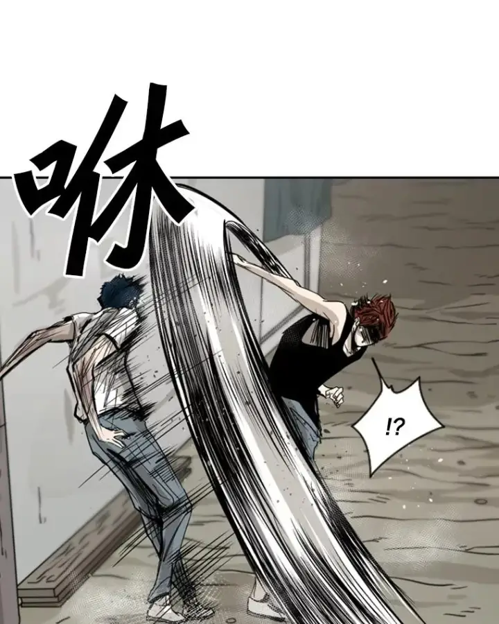 《鲨鱼》51.不死鸟图126