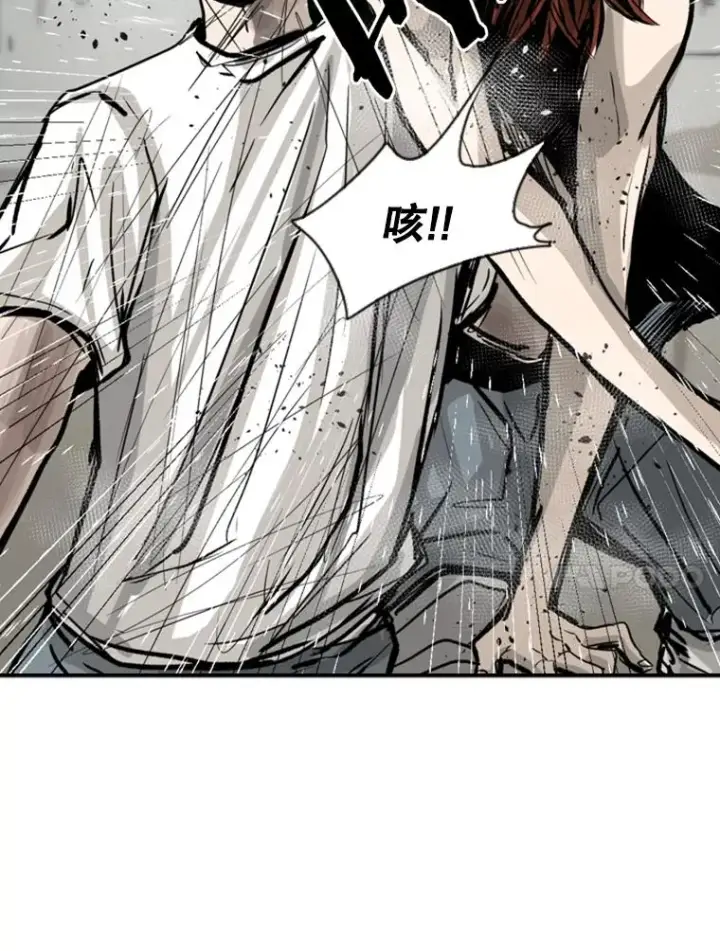 《鲨鱼》51.不死鸟图131