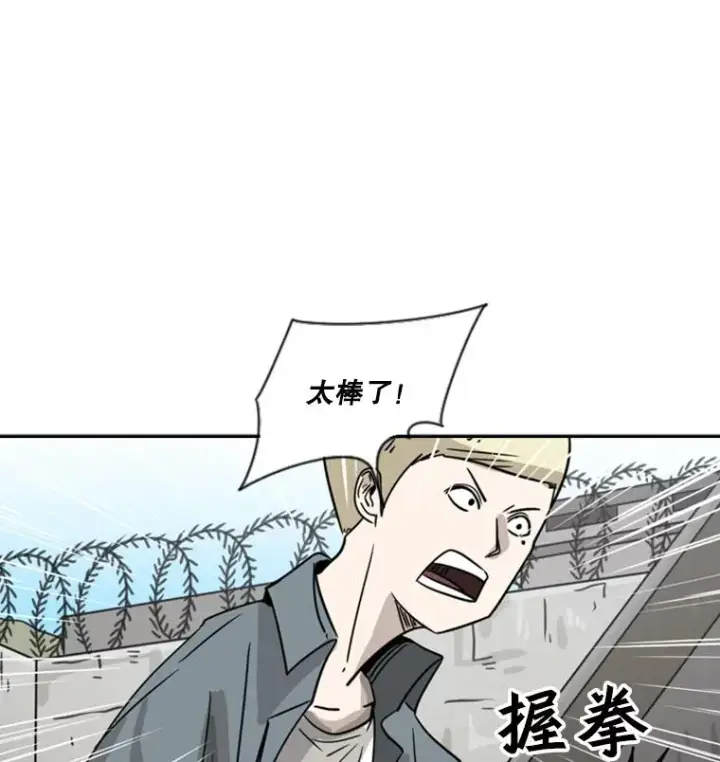 《鲨鱼》51.不死鸟图132