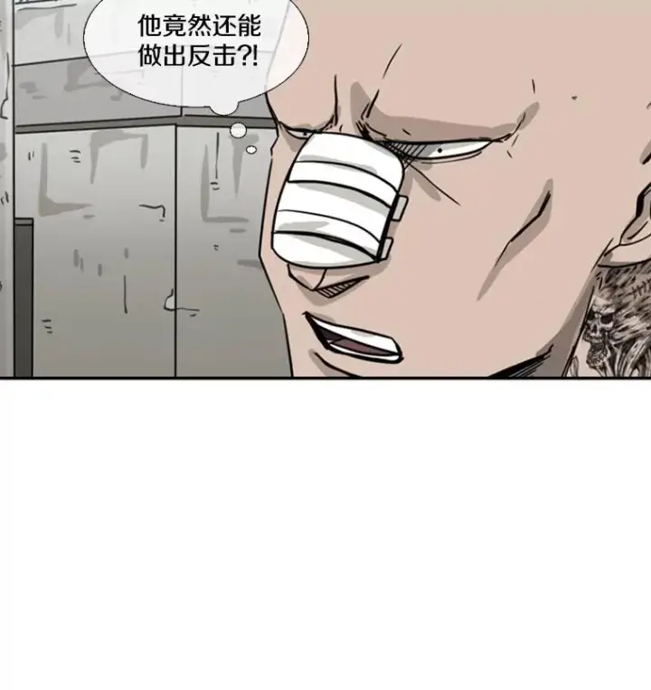 《鲨鱼》51.不死鸟图134