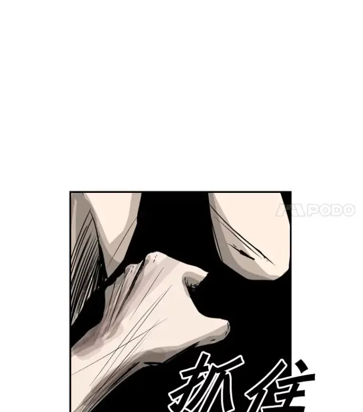 《鲨鱼》51.不死鸟图135