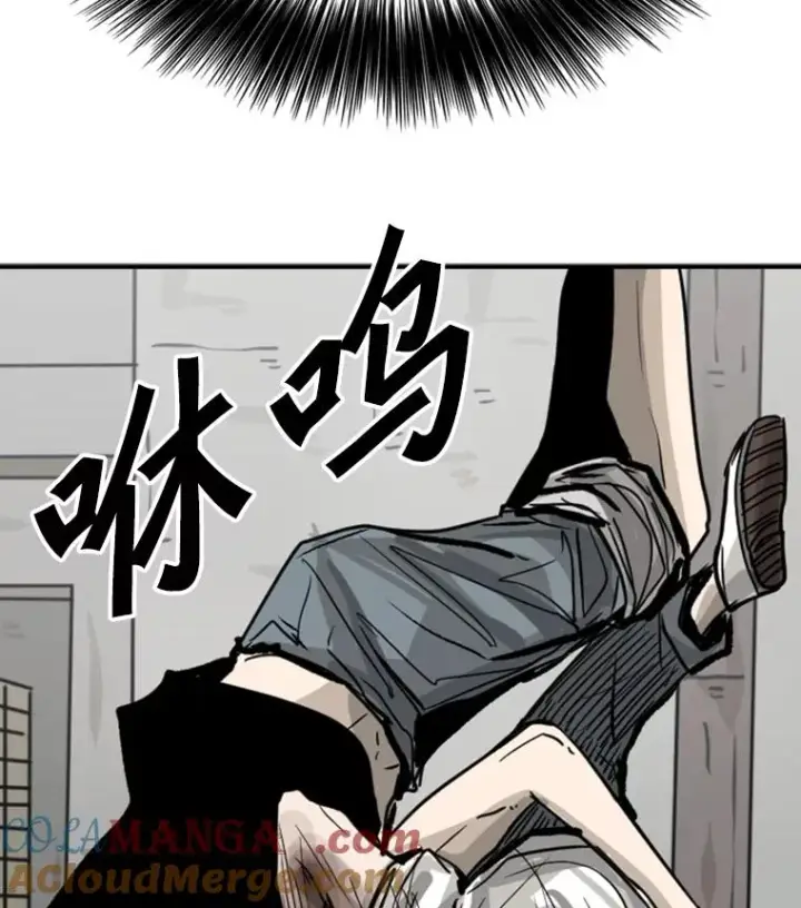 《鲨鱼》51.不死鸟图137