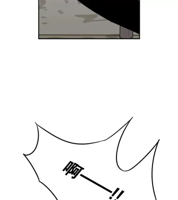 《鲨鱼》51.不死鸟图140