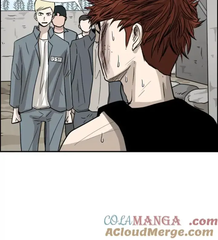 《鲨鱼》51.不死鸟图21