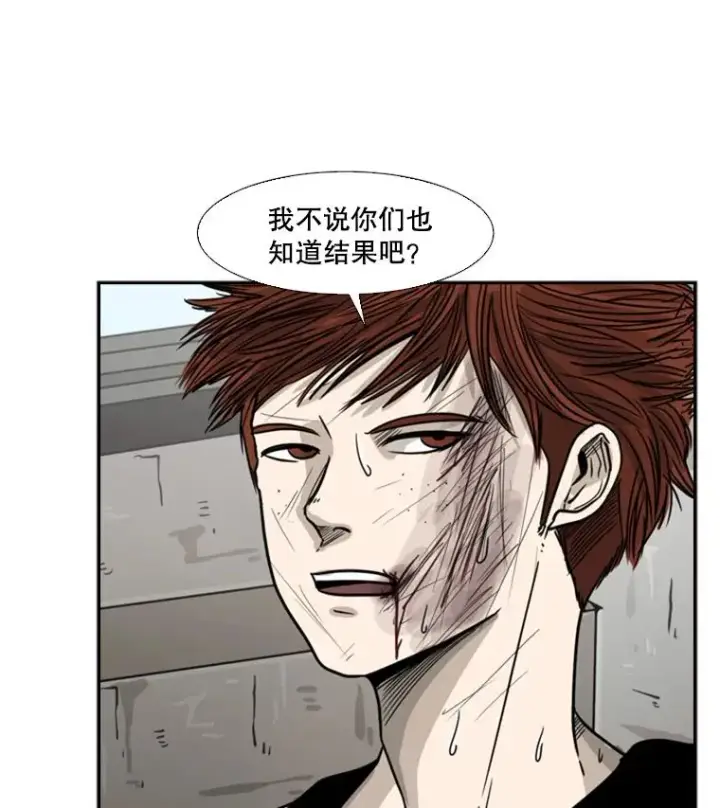 《鲨鱼》51.不死鸟图22