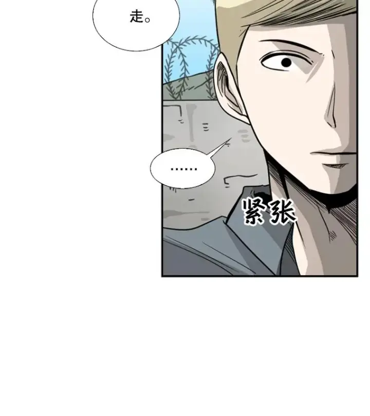 《鲨鱼》51.不死鸟图24