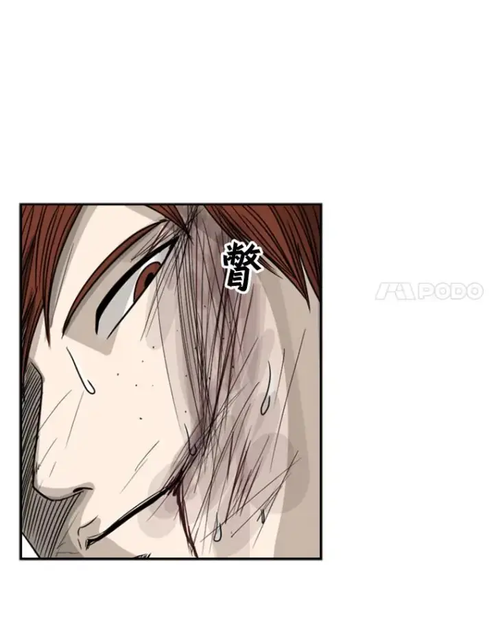 《鲨鱼》51.不死鸟图27