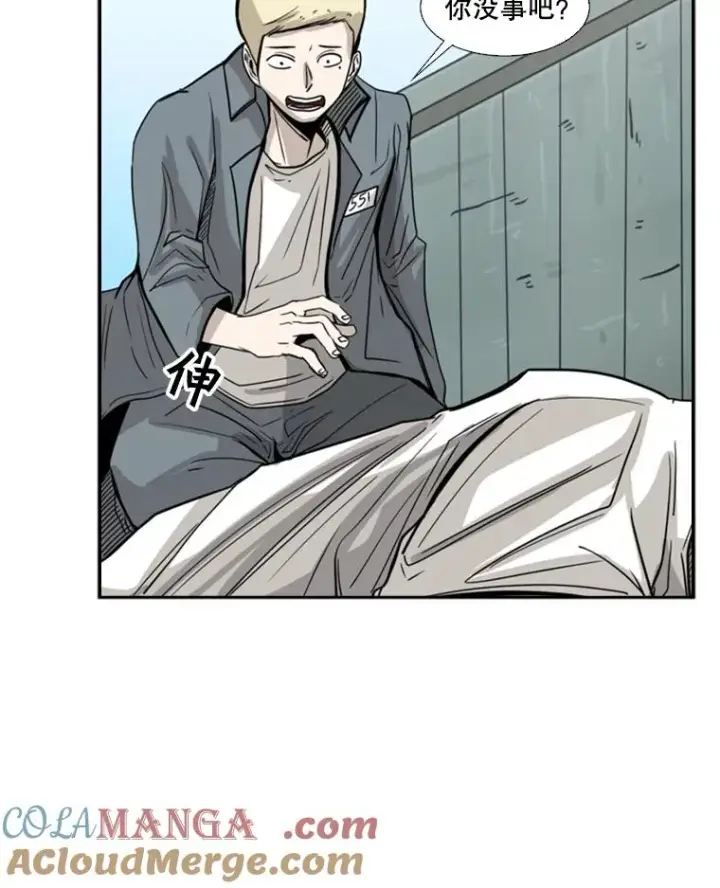 《鲨鱼》51.不死鸟图33