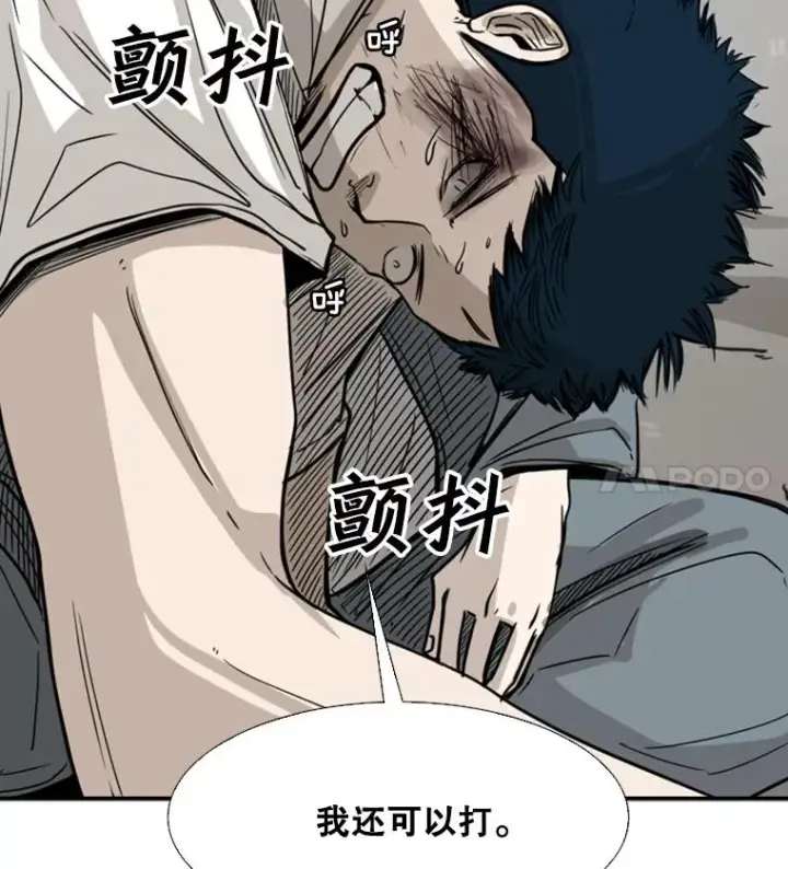 《鲨鱼》51.不死鸟图38