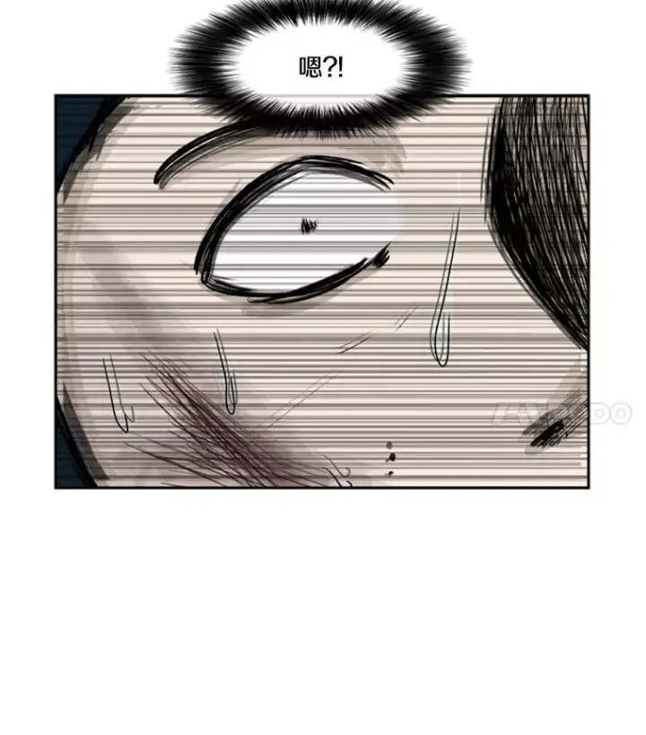 《鲨鱼》51.不死鸟图4