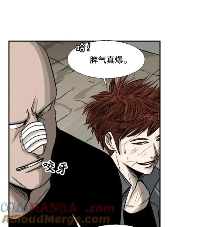 《鲨鱼》51.不死鸟图41