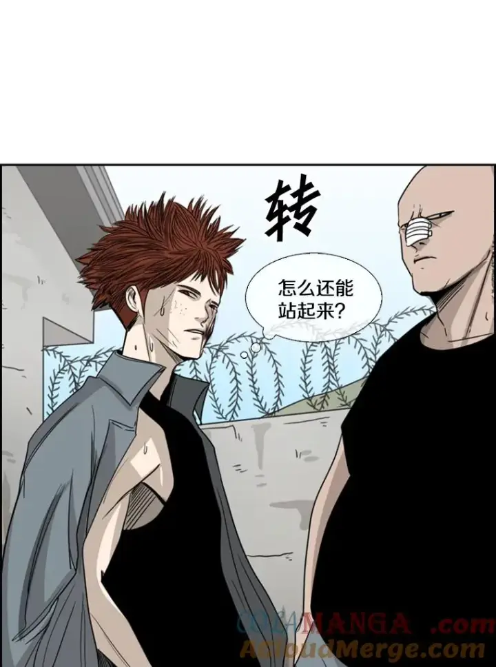 《鲨鱼》51.不死鸟图45