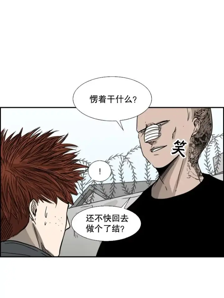 《鲨鱼》51.不死鸟图48