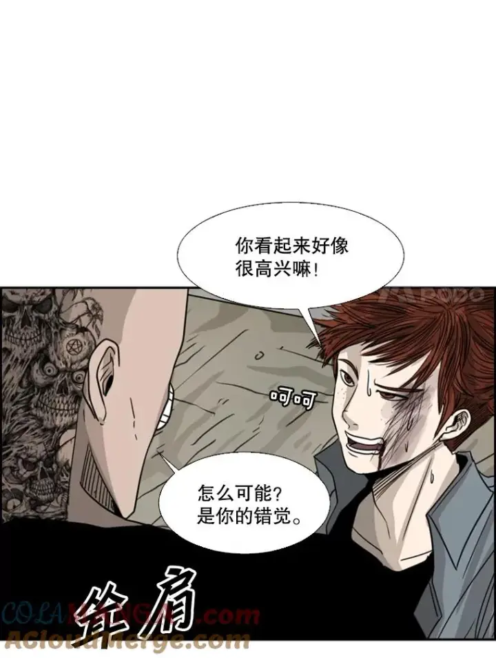 《鲨鱼》51.不死鸟图49