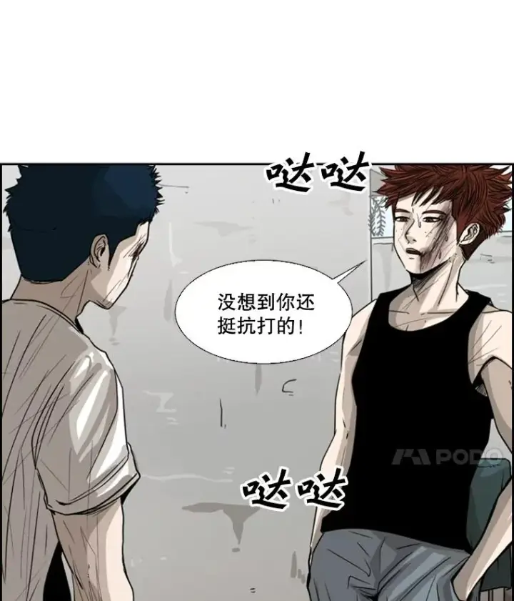 《鲨鱼》51.不死鸟图52