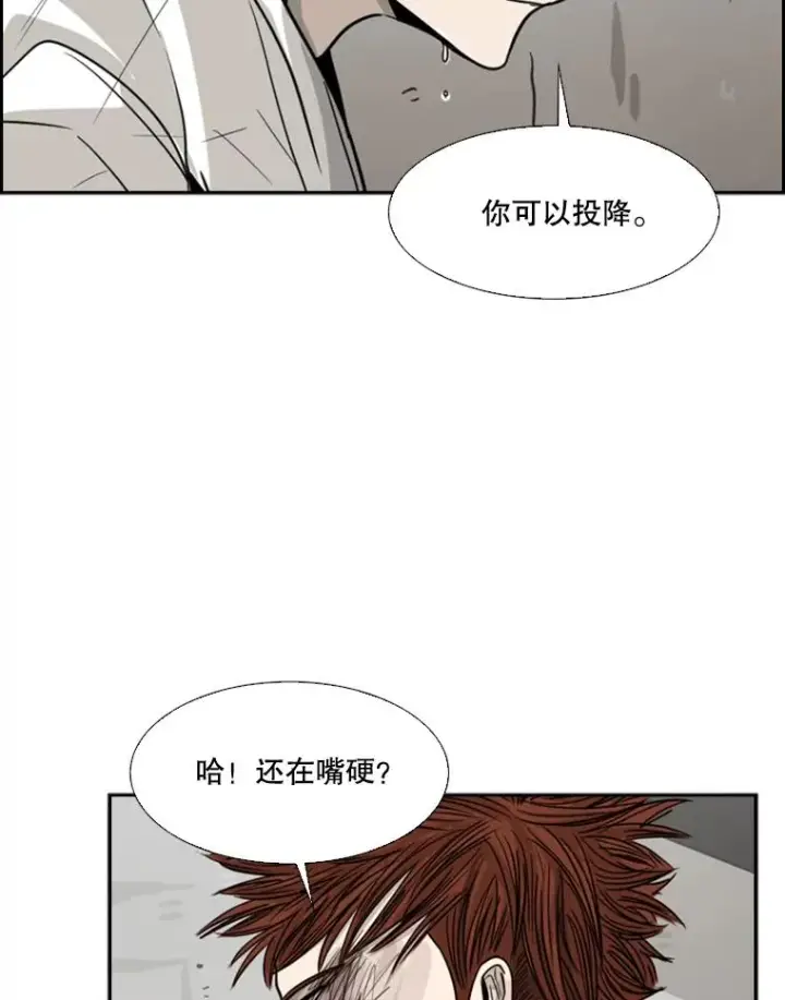 《鲨鱼》51.不死鸟图59