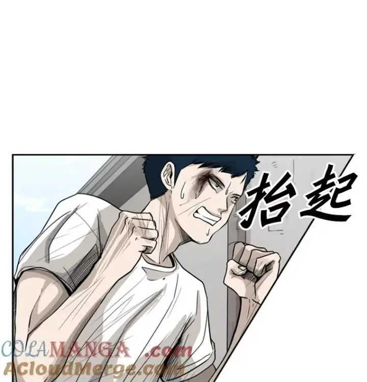 《鲨鱼》51.不死鸟图61