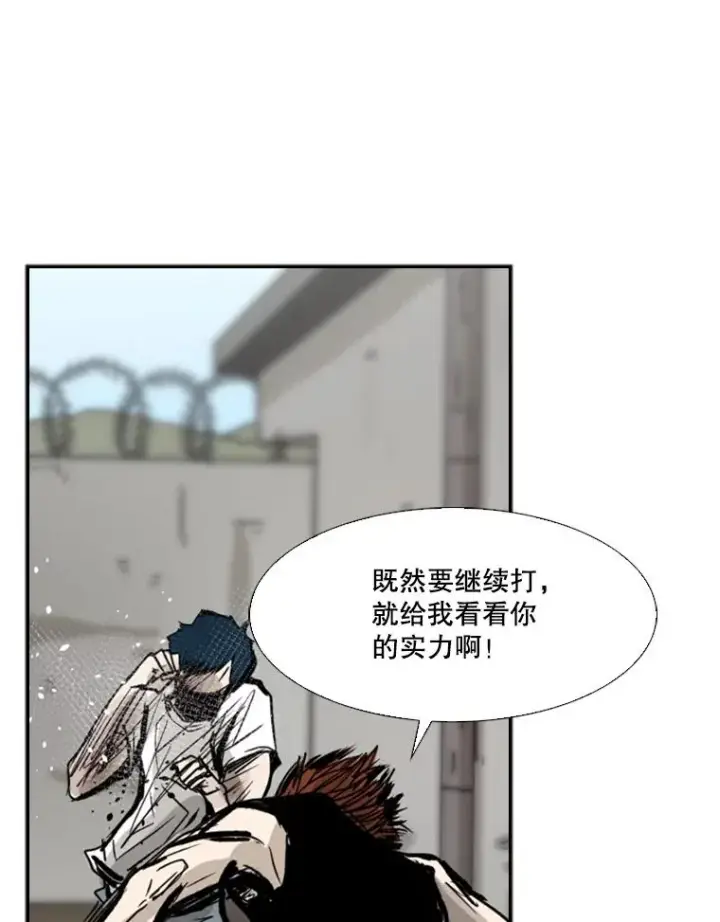 《鲨鱼》51.不死鸟图70