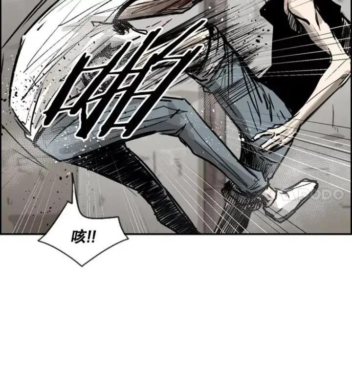《鲨鱼》51.不死鸟图75