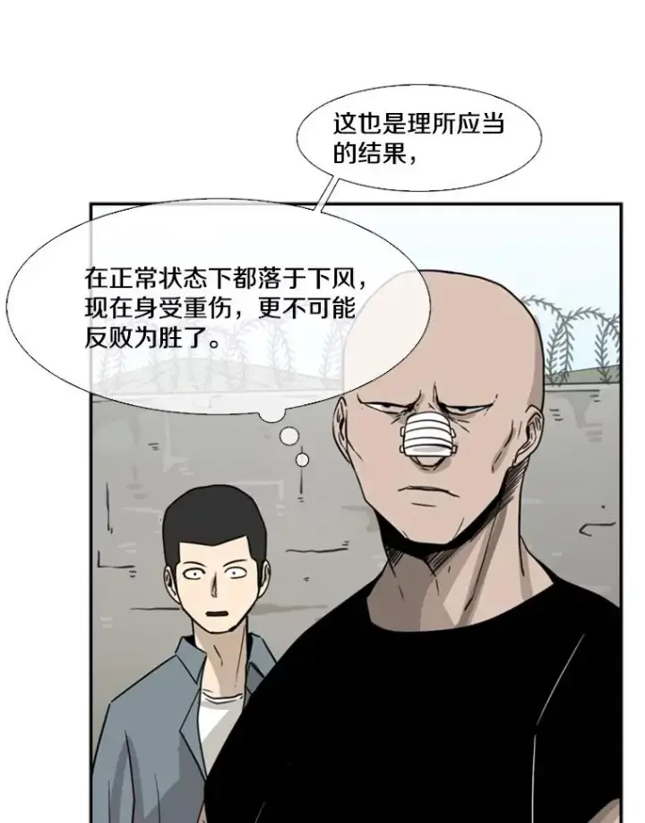 《鲨鱼》51.不死鸟图76