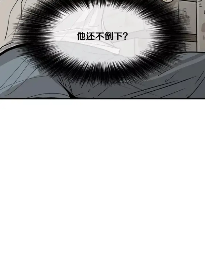 《鲨鱼》51.不死鸟图80