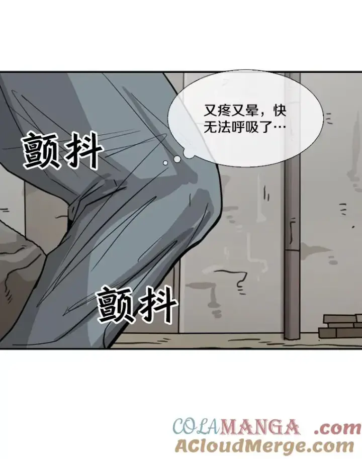 《鲨鱼》51.不死鸟图81