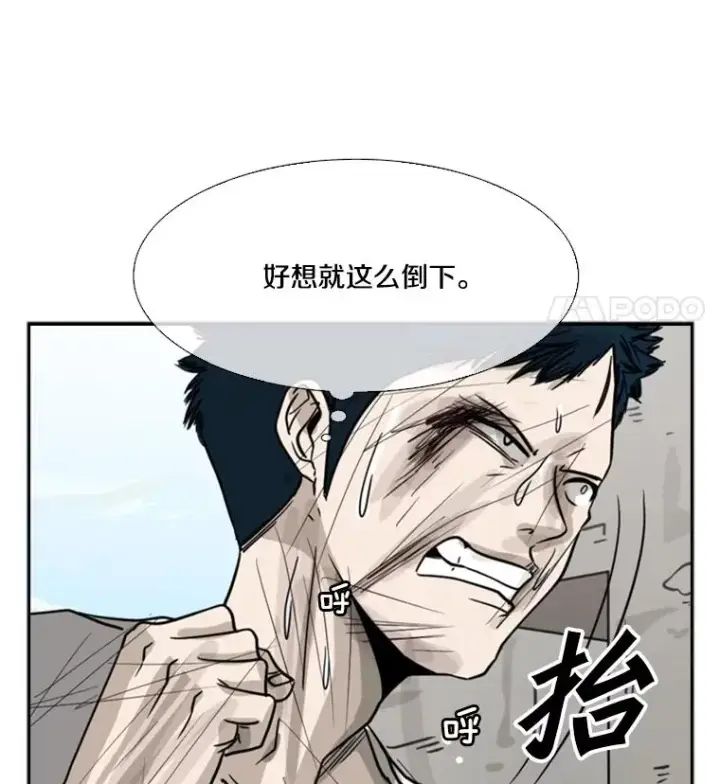 《鲨鱼》51.不死鸟图82