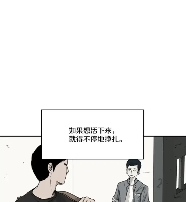 《鲨鱼》51.不死鸟图84