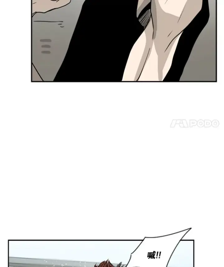 《鲨鱼》51.不死鸟图90