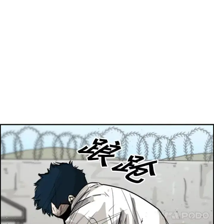 《鲨鱼》51.不死鸟图94