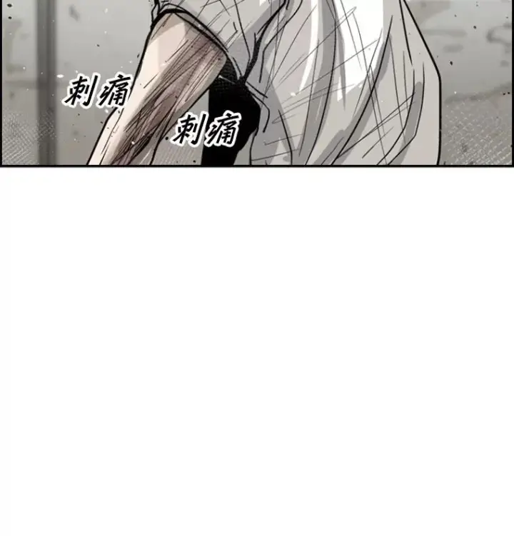 《鲨鱼》51.不死鸟图95