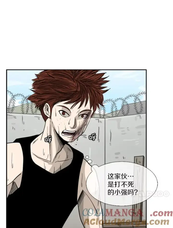 《鲨鱼》51.不死鸟图97