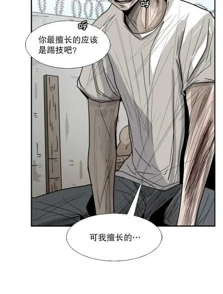 《鲨鱼》51.不死鸟图99