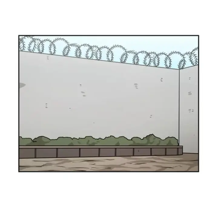 漫画《鲨鱼》53.我叫苏胜宸第78张图