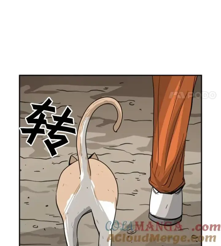 《鲨鱼》54.我叫方妍迪图25