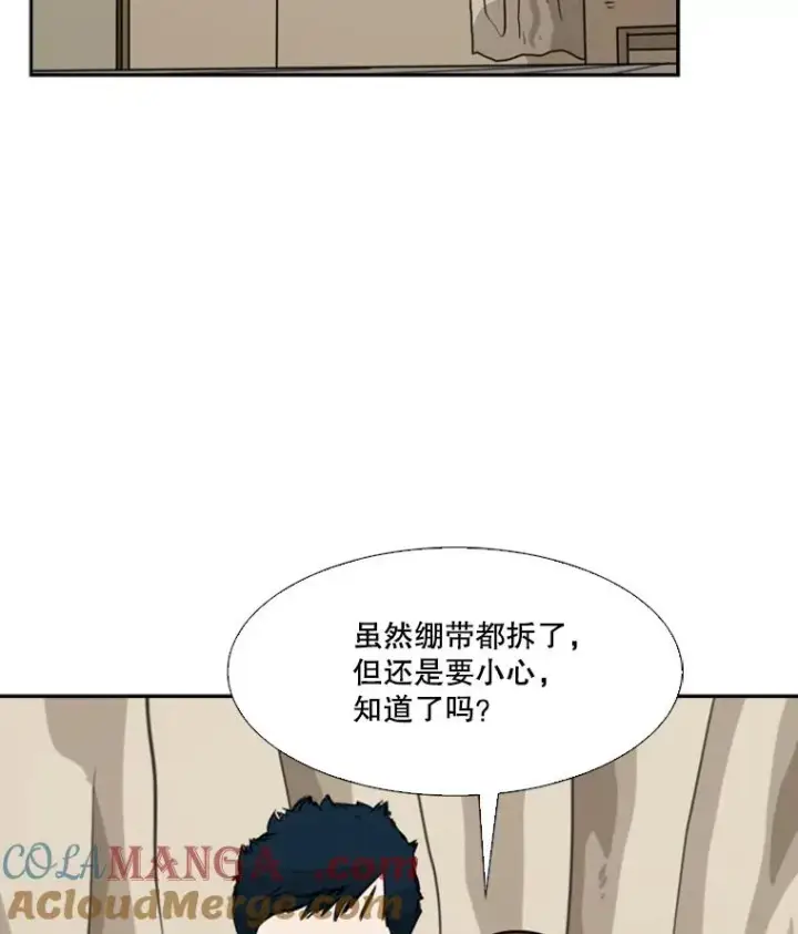 《鲨鱼》55.和平协议图101