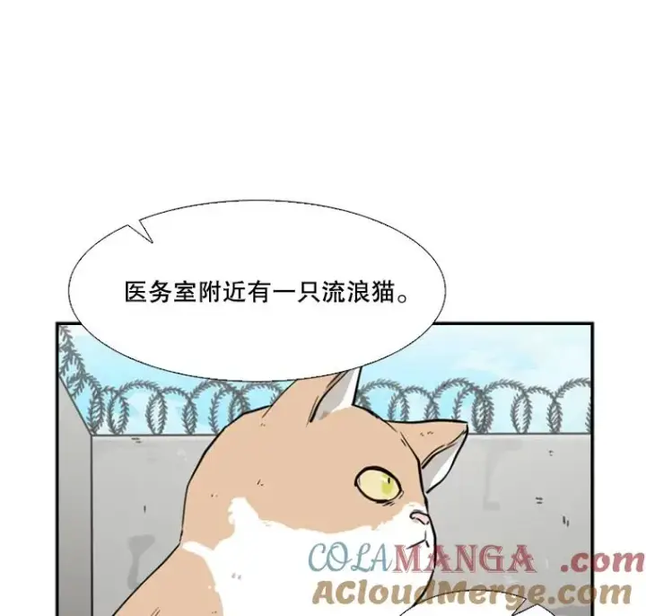 《鲨鱼》55.和平协议图17