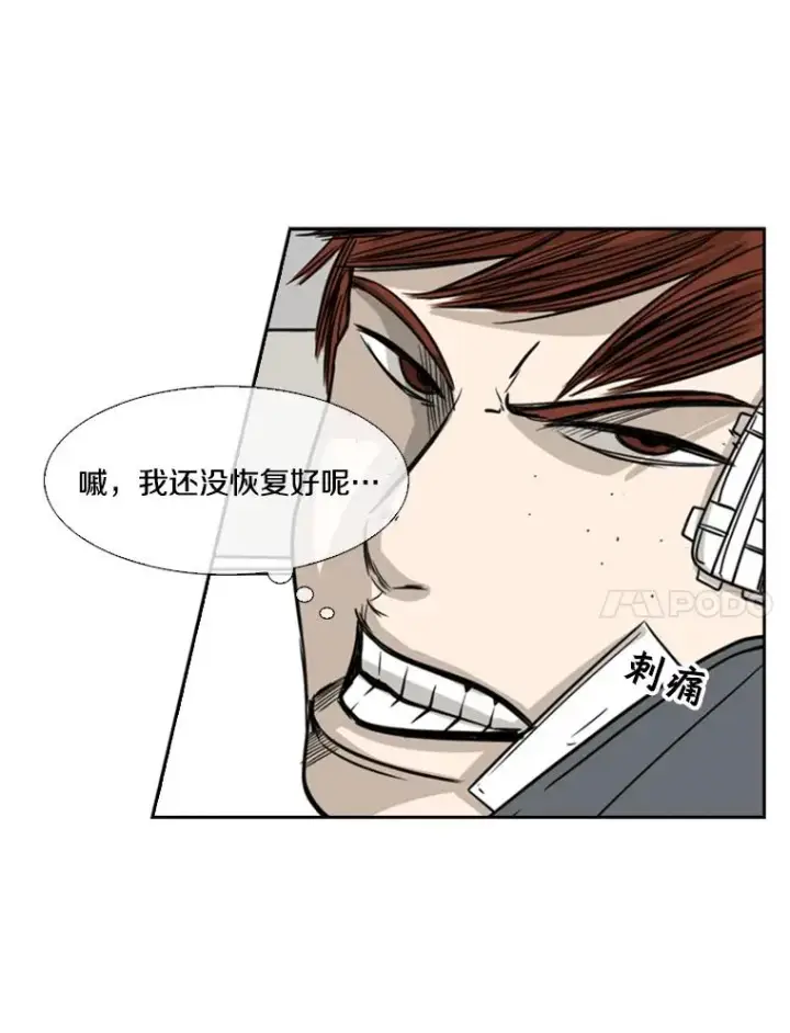 《鲨鱼》55.和平协议图44