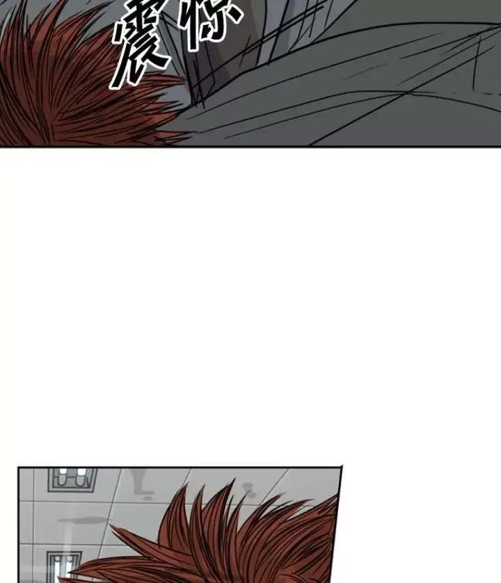 《鲨鱼》55.和平协议图64