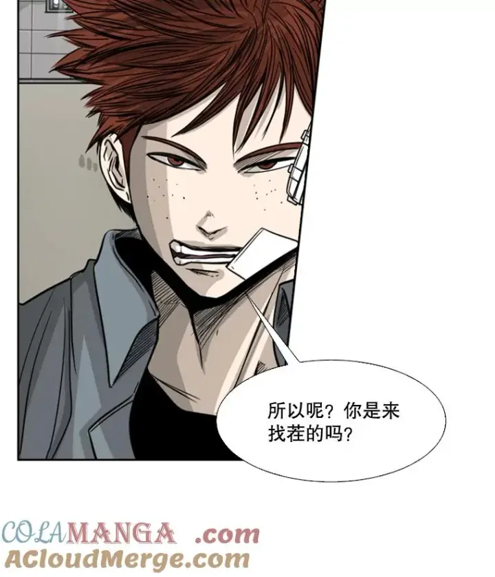 《鲨鱼》55.和平协议图65
