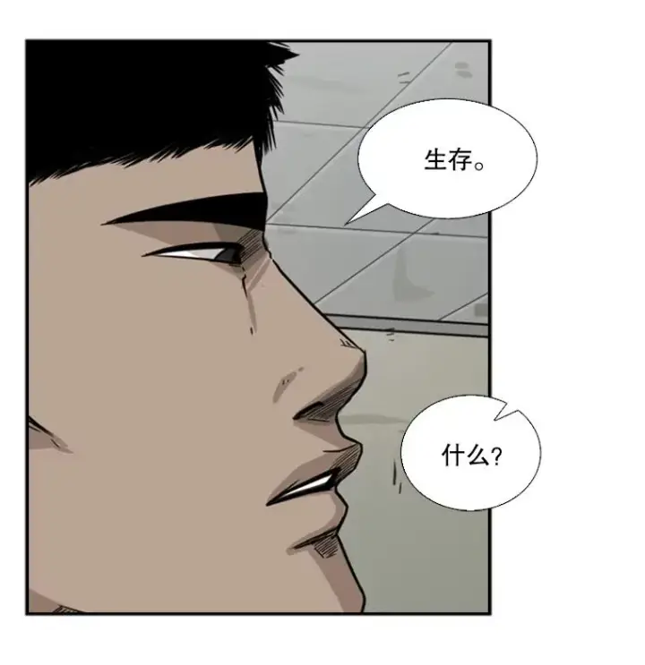 《鲨鱼》55.和平协议图84