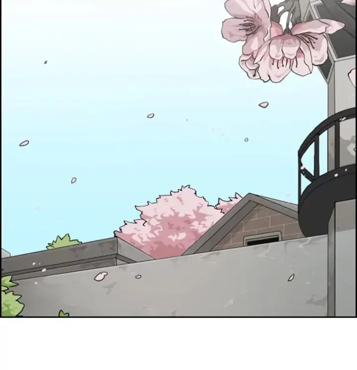 《鲨鱼》57.我们还能再见吗图100