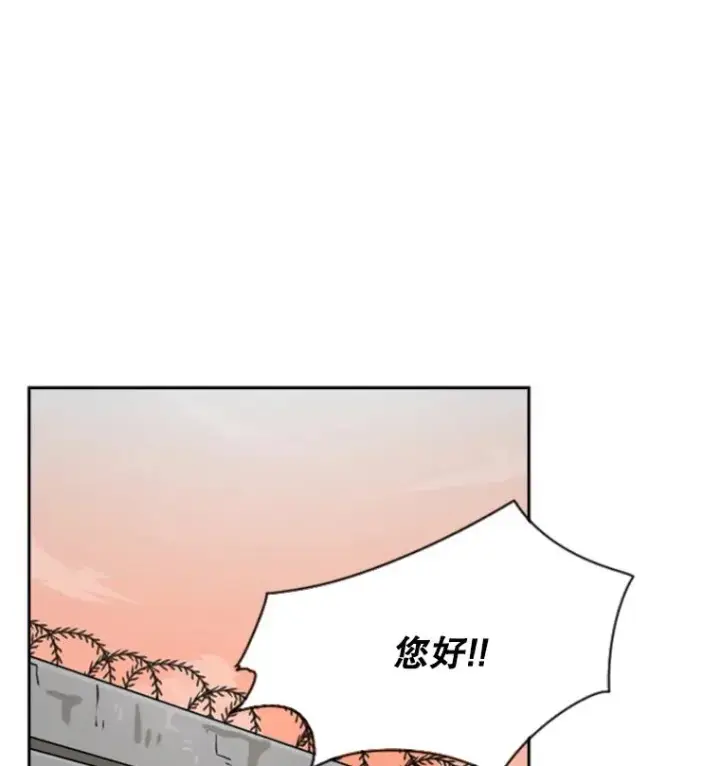 《鲨鱼》58.确认图80