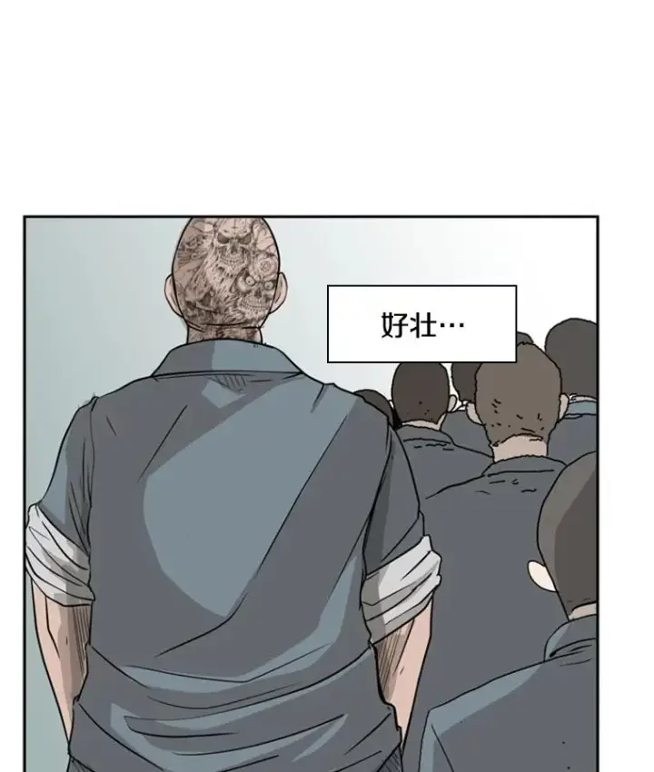 《鲨鱼》5.正式开始图42