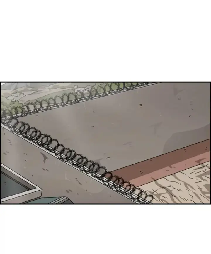 《鲨鱼》59.平局图124