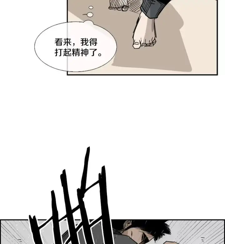 《鲨鱼》59.平局图22