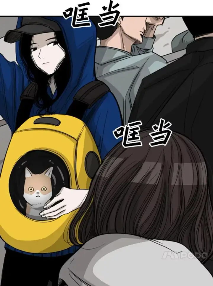 漫画《鲨鱼》62.正面交锋第31张图
